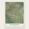 Shawneetown, Illinois map print, the full design