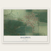 Baldwin, Illinois map print, the full design
