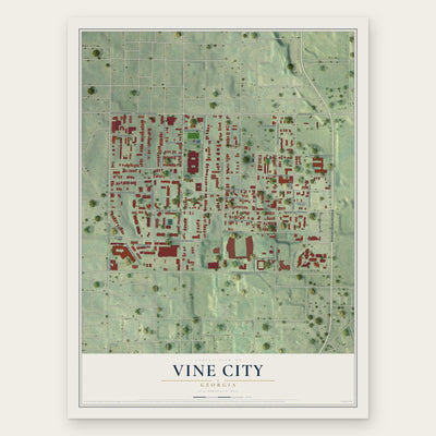 Vine City, Georgia map print, the full design