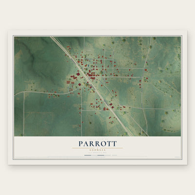 Parrott, Georgia map print, the full design
