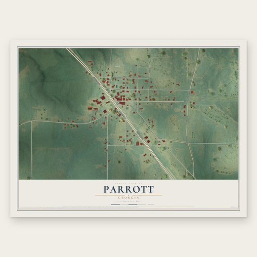 Parrott, Georgia map print, the full design