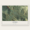 Petros, Tennessee map print, the full design
