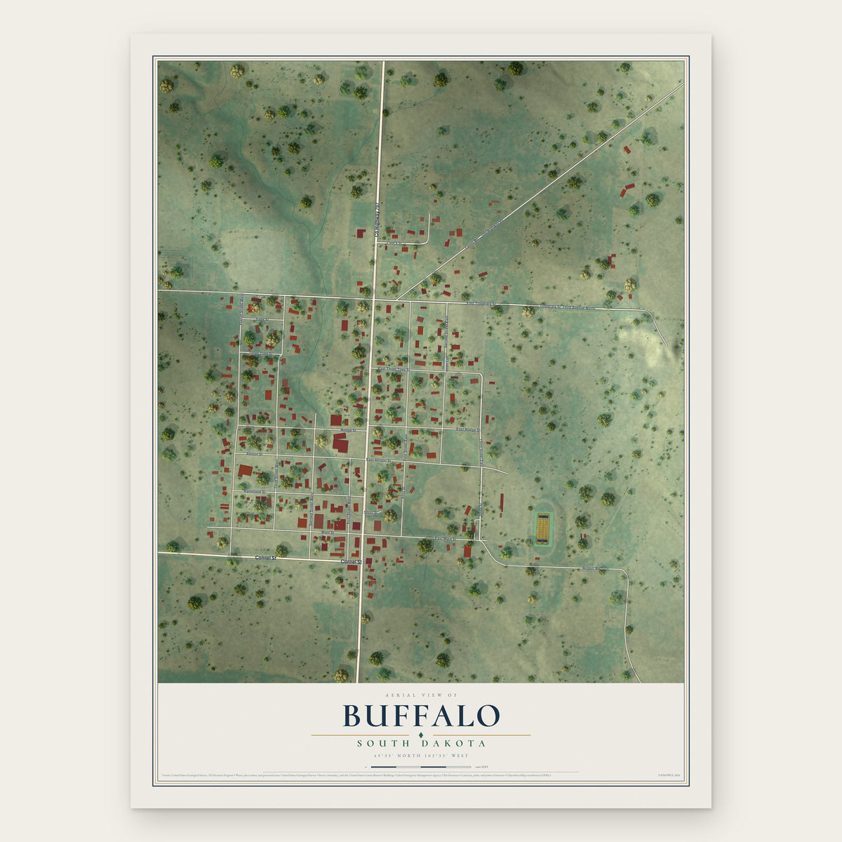 Buffalo, South Dakota map print, the full design