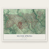 Silver Spring, Maryland map print, the full design