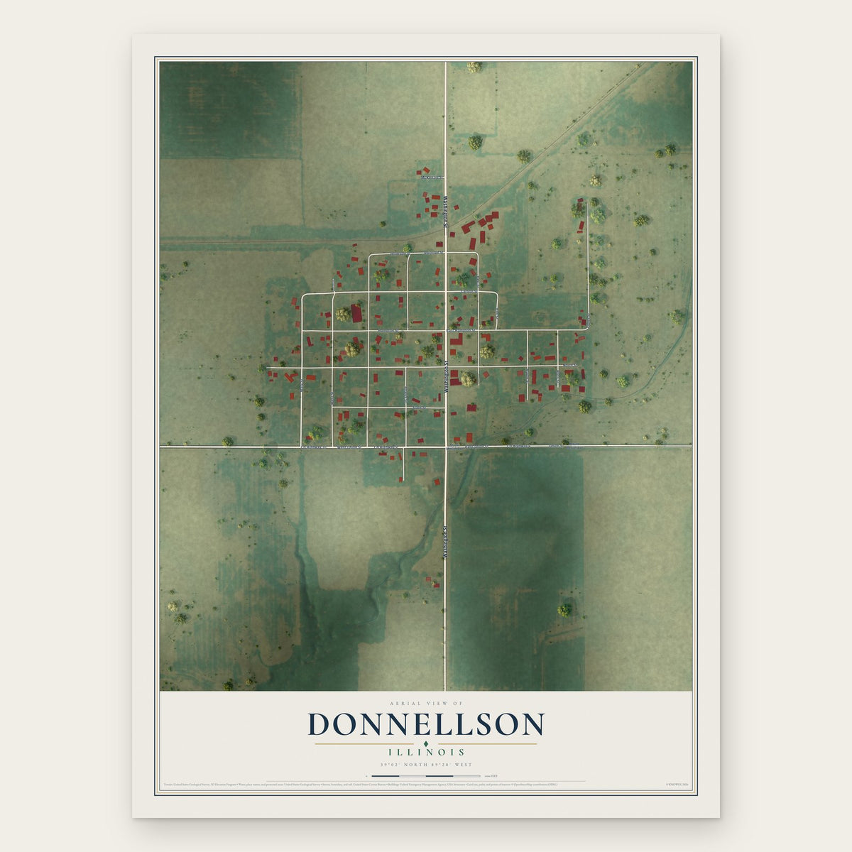 Donnellson, Illinois map print, the full design