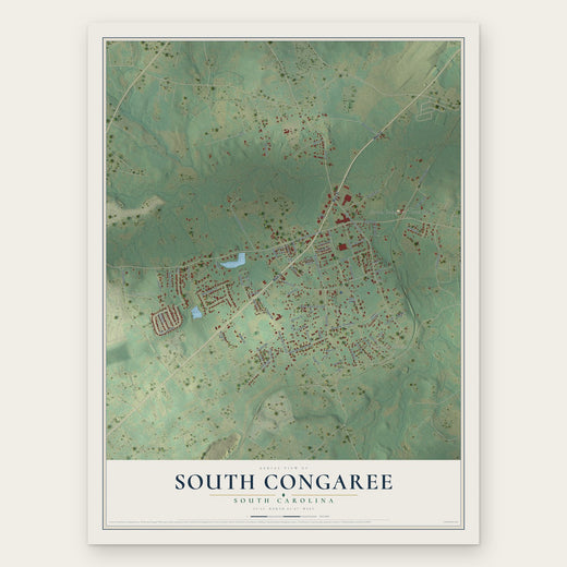 South Congaree, South Carolina map print, the full design