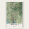 Springfield, Florida map print, the full design