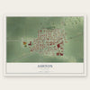 Ashton, Illinois map print, the full design