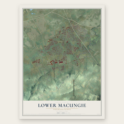 Lower Macungie, Pennsylvania map print, the full design