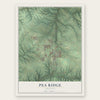 Pea Ridge, Arkansas map print, the full design