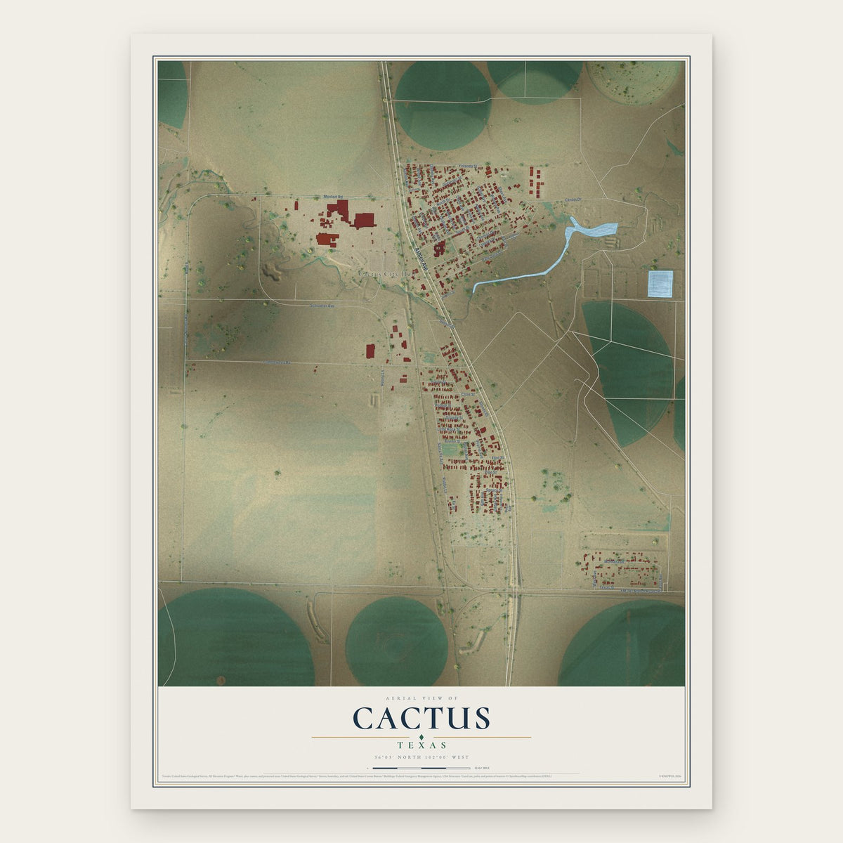 Cactus, Texas map print, the full design