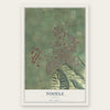 Tooele, Utah map print, the full design