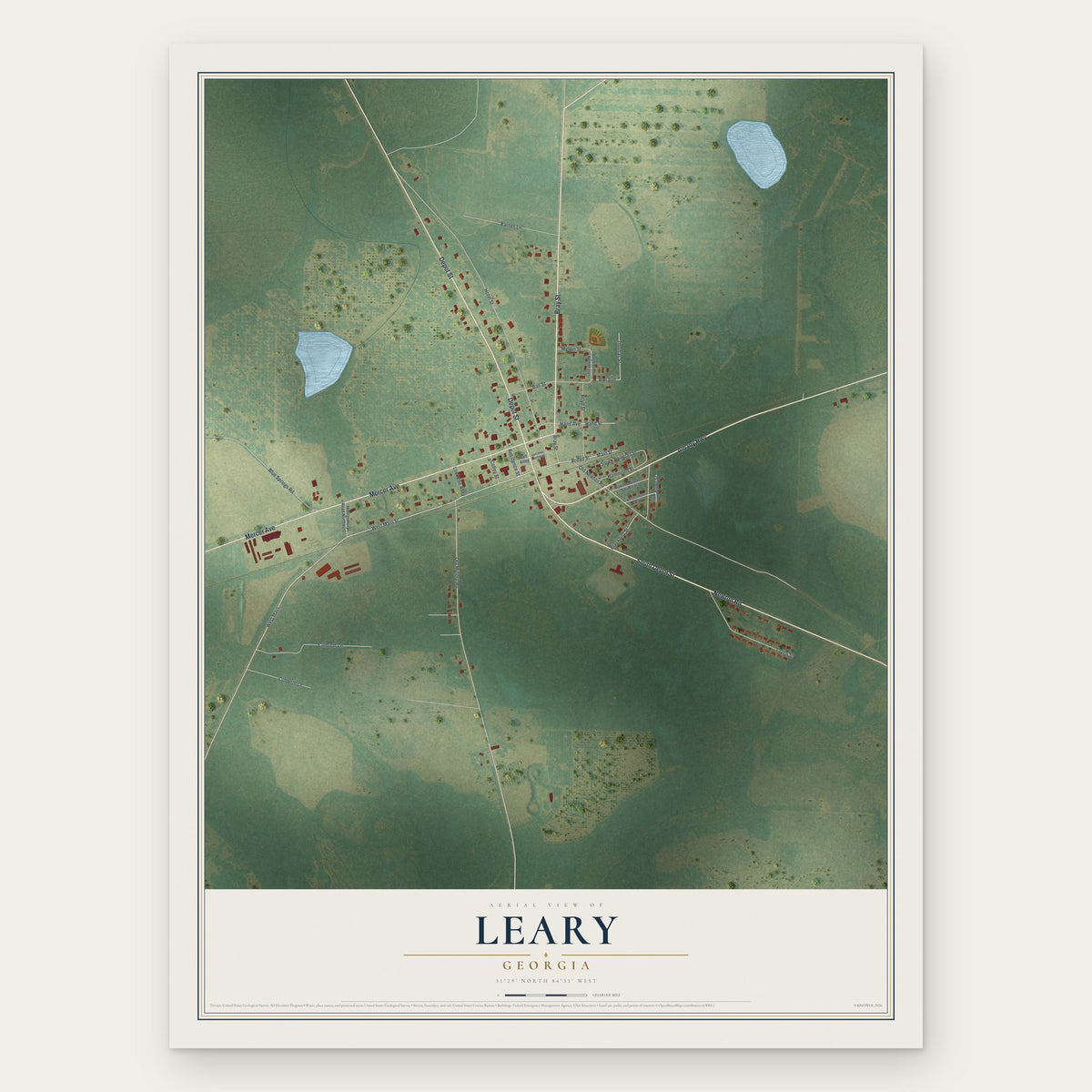 Leary, Georgia map print, the full design