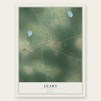 Leary, Georgia map print, the full design