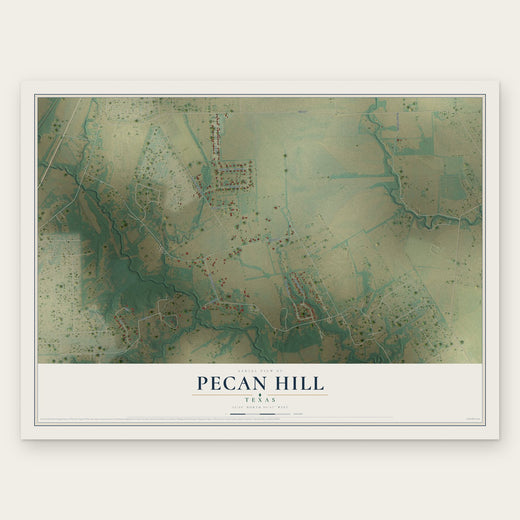 Pecan Hill, Texas map print, the full design