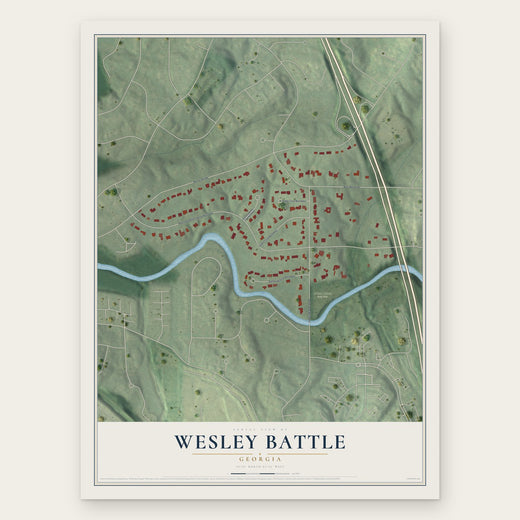 Wesley Battle, Georgia map print, the full design