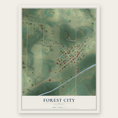 Forest City, Illinois map print, the full design