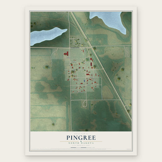 Pingree, North Dakota map print, the full design