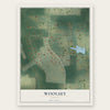 Woolsey, Georgia map print, the full design