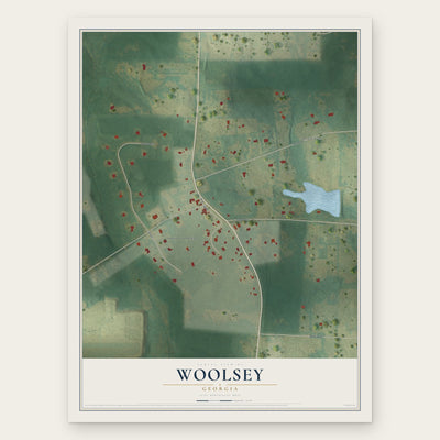 Woolsey, Georgia map print, the full design