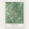 Forest City, North Carolina map print, the full design