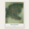 Bellflower, Missouri map print, the full design