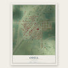 Odell, Illinois map print, the full design