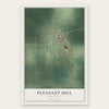 Pleasant Hill, Louisiana map print, the full design