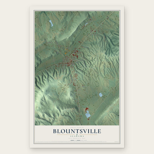 Blountsville, Alabama map print, the full design