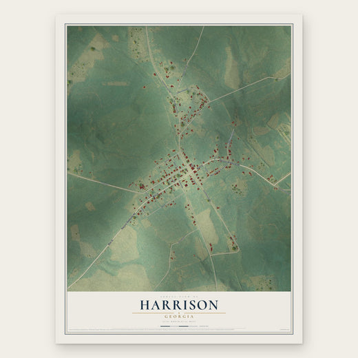 Harrison, Georgia map print, the full design