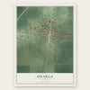 Onarga, Illinois map print, the full design