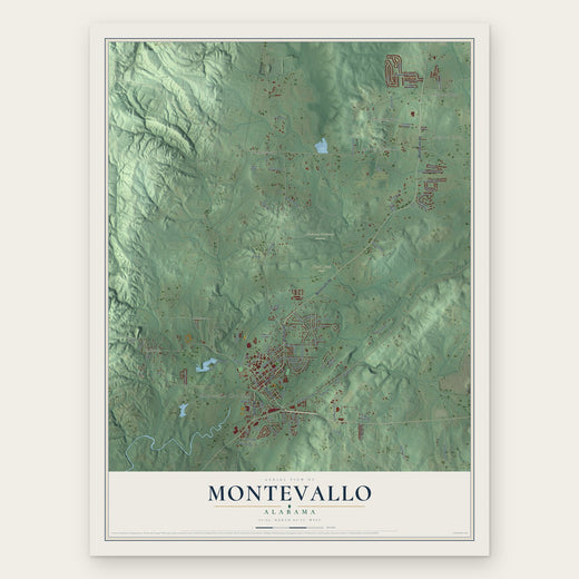 Montevallo, Alabama map print, the full design