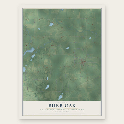Burr Oak, St. Joseph County, Michigan map print, the full design