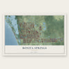 Bonita Springs, Florida map print, the full design