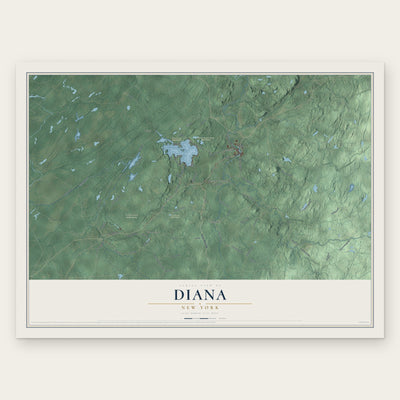 Diana, New York map print, the full design