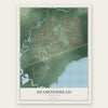 Diamondhead, Mississippi map print, the full design
