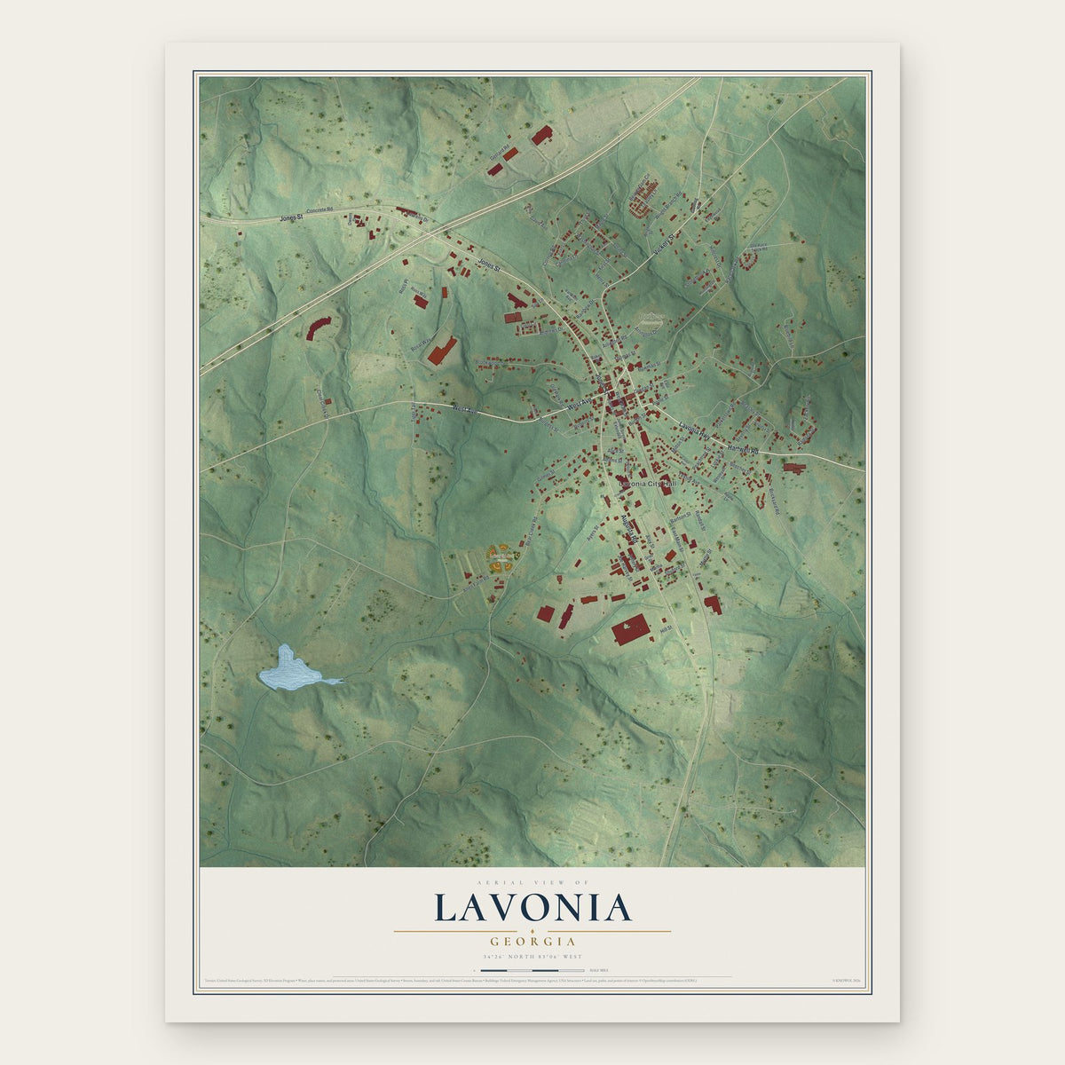 Lavonia, Georgia map print, the full design