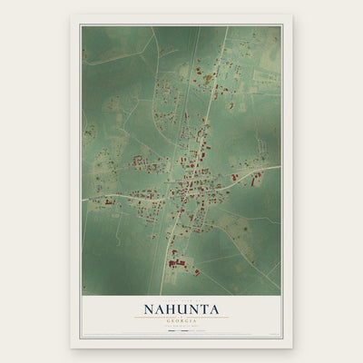 Nahunta, Georgia map print, the full design