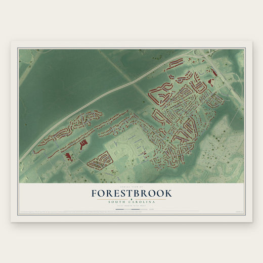 Forestbrook, South Carolina map print, the full design