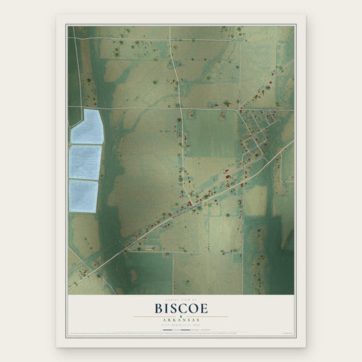 Biscoe, Arkansas map print, the full design