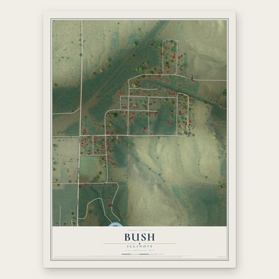 Bush, Illinois map print, the full design