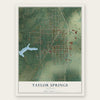 Taylor Springs, Illinois map print, the full design
