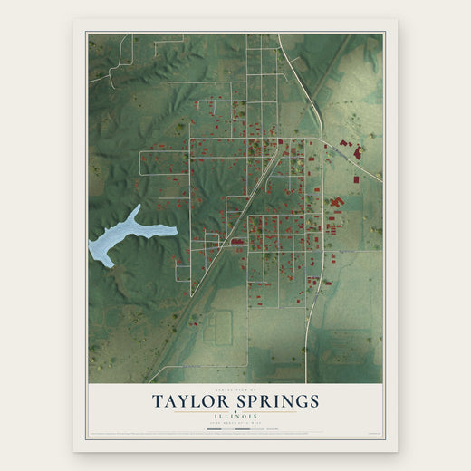 Taylor Springs, Illinois map print, the full design