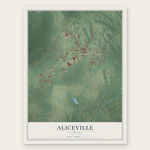 Aliceville, Alabama map print, the full design
