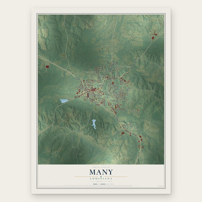 Many, Louisiana map print, the full design