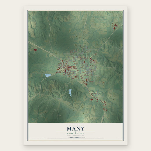 Many, Louisiana map print, the full design