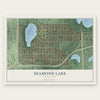 Diamond Lake, Minnesota map print, the full design
