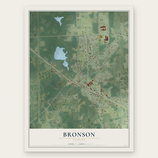 Bronson, Florida map print, the full design