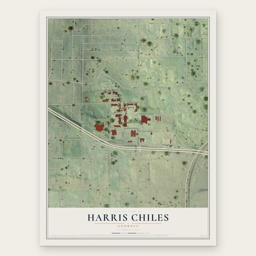 Harris Chiles, Georgia map print, the full design