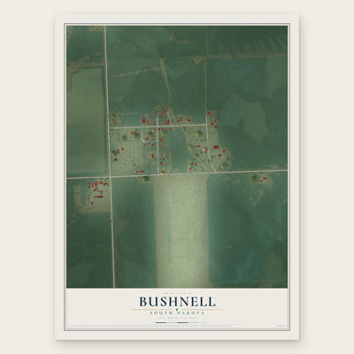 Bushnell, South Dakota map print, the full design